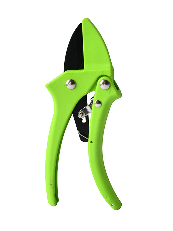 Rachet reglabil nicovala Pruner TG1306117